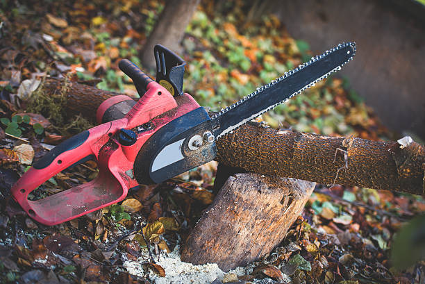 Best Lawn Maintenance Plans  in Weston Lakes, TX
